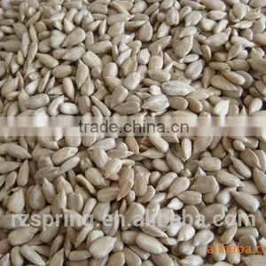 BAKERY GRADE SUNFLOWER SEED KERNELS thumbnail-2