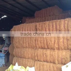 Coconut Fiber 2016 (qq : 2598494113) thumbnail-6