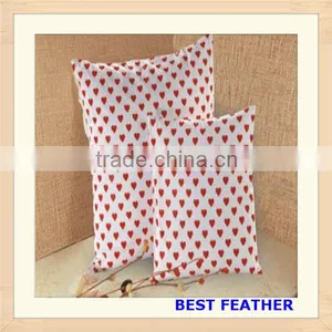 Fashion Cushion for Home thumbnail-1