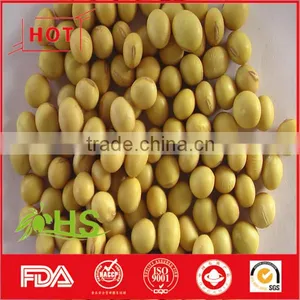 Chinese Dried Cheap Soybeans for Wholesale thumbnail-4