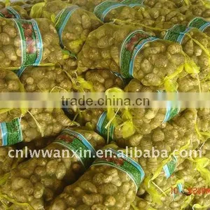 70g Fresh Taro Market thumbnail-1