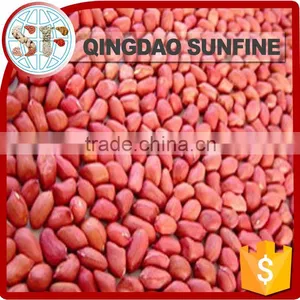 Salted Raw Peanuts Kernel thumbnail-6