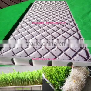 Barley Wheat Rice Sprouting Seed Trays,nursery Tray for Sprout thumbnail-1
