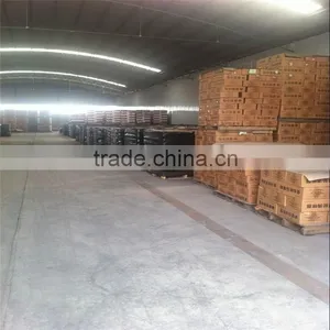 Specification Fresh Tomato, Bulk Tomato Paste Tomato Sauce thumbnail-4