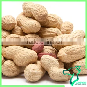 Raw Chinese Peanut Factory Supply thumbnail-1