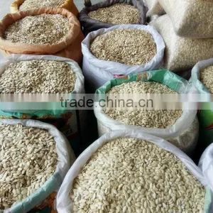 Pumkin Seeds Shine Skin Quality Manufactory for Export Grade A thumbnail-3