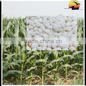 Ammonium Sulphate Steel Grade Ammonium Sulfate thumbnail-5
