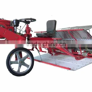 Rice Transplanter Machinery---China thumbnail-2