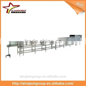 Inverse PET Bottle Conveyor System With Sterilizing Chain thumbnail-1