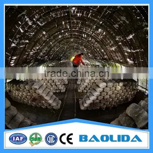 Plastic Film Greenhouse For Mushroom Growing thumbnail-1