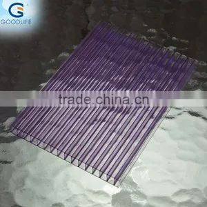 UV Coating 4/6/8/10/12mm Polycarbonate Hollow Sheet Roof Cover for Decorative Ceiling Plates thumbnail-5