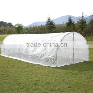 Horticultural Equipment /garden Green House/ Tunnel Greenhouse8*3*2 thumbnail-2