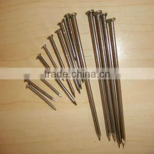 Wire Nail,Common Nail And Wood Nail Factory in China thumbnail-1