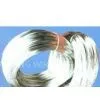 Galvanized Iron Wire ,Wire,Iron Wire, thumbnail-1