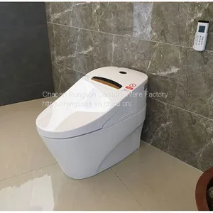 China Sanitary Ware Portable Bathroom Modern New Design Gold Intelligent Toilet Seat Cover With All Self-clean System thumbnail-5