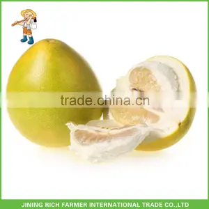 New Crop Chinese Fresh Sweet Honey Pomelo thumbnail-1