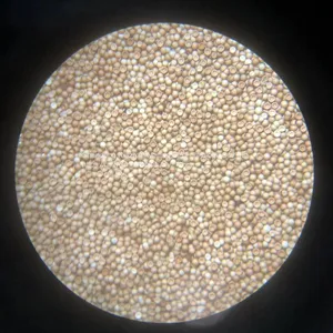 Artemia Cysts,brine Shrimp Eggs thumbnail-1