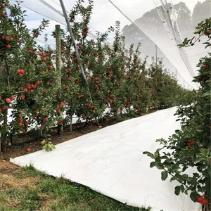 90GSM White Reflective Weed Mat Weed Mat Agricultural White Landscape Ground Cover Weed Mat Barrier thumbnail-5