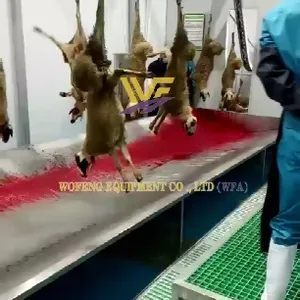 Sheep Slaughtering Equipment Goat Slaughter Production Line thumbnail-2