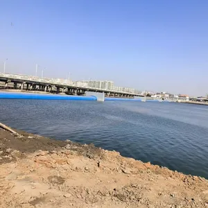 橡胶坝 (66)
