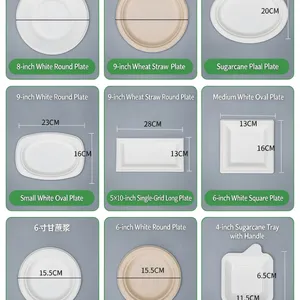 6-12 Inch Bagasse Pulp Molded Round Plate, Disposable Compostable Tableware, Waterproof, Oil-Proof, Microwave Safe, Freezer Safe thumbnail-4