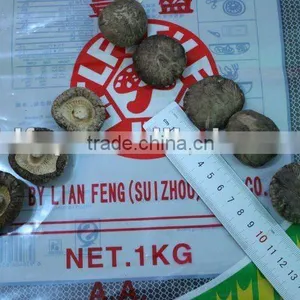 Chanterelle Price thumbnail-1