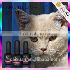 3D UV Gel Polish LED Cat Eye Color Healthy and Ecofriendly Gel for Nail Art thumbnail-2