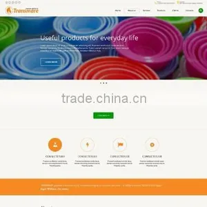 Website Design thumbnail-1