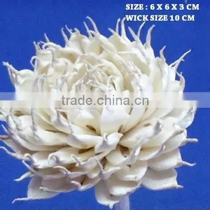 Sola Flower thumbnail-1