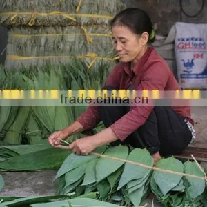 Dry Big Size Bamboo Leaves thumbnail-4
