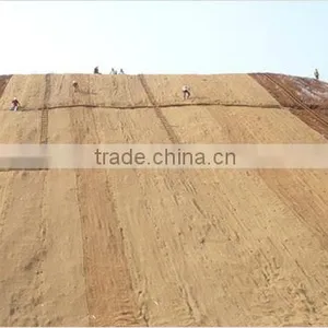 Coir Geotextiles thumbnail-6