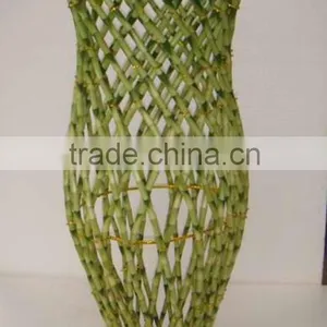 Vase Shape Lucky Bamboo Air Bonsai Tree Dracaena Sanderiana Indoor Ornamental Aquatic Water Plants Nursery Garden Decoration thumbnail-1