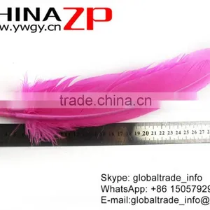 ZPDECOR Crafts Factory Wholesale High Quality Dyed Pink Solid Color Turkey Feather for Sale thumbnail-4