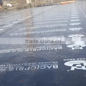 Roof Waterproof Membrane thumbnail-2