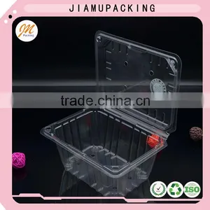 Wholesale Plastic 1 kg Tomato Boxes thumbnail-2
