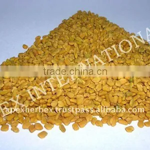 Fenugreek Seeds thumbnail-2