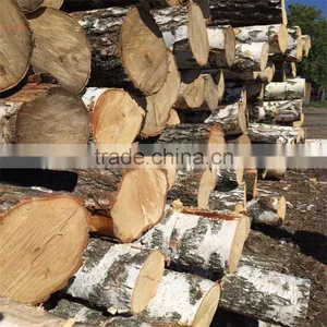 White Birch Korean Pine Larch thumbnail-1