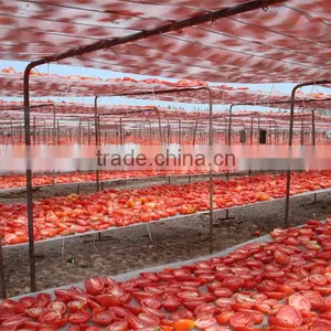 Chinese New Crop Dry Tomato Production thumbnail-1