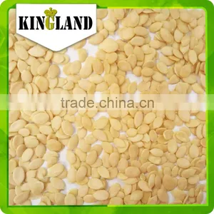 Wholesale Watermelon Seed Kernels thumbnail-2