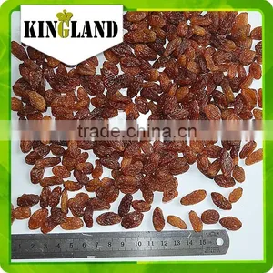 Dry Fruits Black Dried Red Raisins Price thumbnail-5