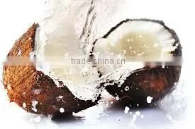 Browny South Indian Coconut thumbnail-1