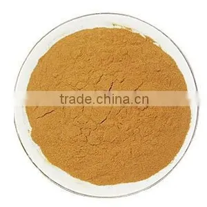 Black Tea Extract thumbnail-1