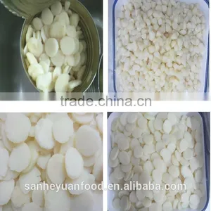 High Quality Canned Water Chestnut thumbnail-2