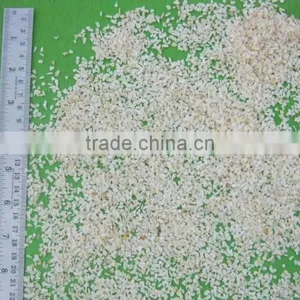 Dehydrated White Onion Minced thumbnail-1