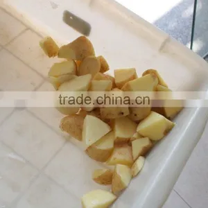 Large Capacity Vegetable Cutter Cutting Machine Vegetable and Fruit Dicing Machine thumbnail-6