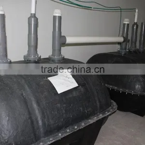 Durable Quality China Biogas Digester for Waste Water Treatment thumbnail-1