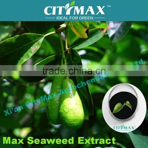 HOT!!! Strong Soluble Seaweed Fertilizer Wholesale thumbnail-1