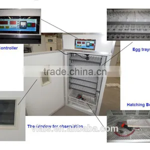 528eggs Capacity High Hatching Rate Egg Hatching Machine for Sale thumbnail-4