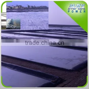 New Arrival Plastic Film Greenhouse Agriculture thumbnail-3