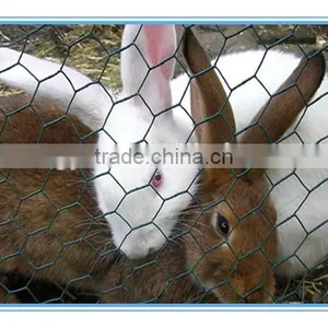PVC Coated Hexagonal Wire Mesh/Plastic Coated Hexagonal Wire Mesh Made in China thumbnail-2